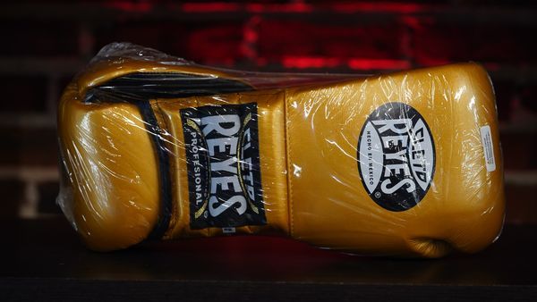 Cleto Reyes Traditional Lace Training Gloves (16oz, Gold)