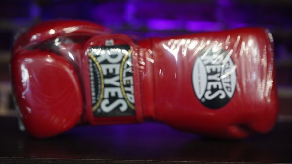 Cleto Reyes Hook and Loop Gloves (18oz, Classic Red)