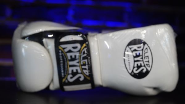 Cleto Reyes Hook and Loop Gloves (16oz, White)